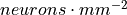 neurons \cdot mm^{-2}